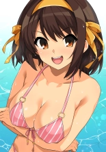 1 Page Goto ni Oppai ga Ookiku Naru Haruhi-san no Hon Digital Ban Shien Site Muke : page 11