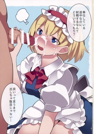 hentai touhou project
