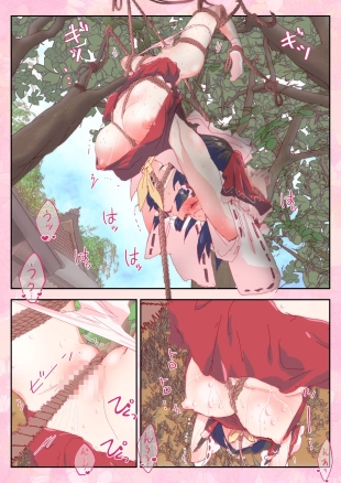 hentai touhou project