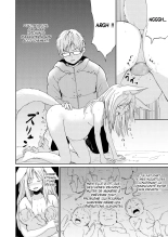 La déesse renarde et moi : page 26