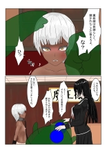 Boukoku Dark Elf  no Matsuro : page 21