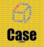 Case V.2 : page 1