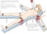 comment mettre une fille en exposition : page 6