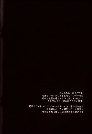 hentai touhou project