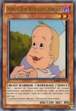deck werebeast,vamp, suc, cow girls,lamia,cent , idols etc9 yugioh page 81