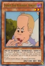deck werebeast,vamp, suc, cow girls,lamia,cent , idols etc9 yugioh page 82