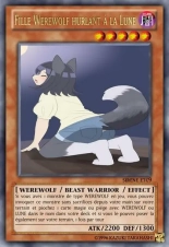 deck werebeast,vamp, suc, cow girls,lamia,cent , idols etc9 yugioh page 113