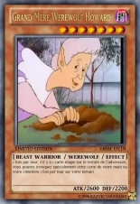 deck werebeast,vamp, suc, cow girls,lamia,cent , idols etc9 yugioh page 129