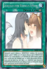 deck werebeast,vamp, suc, cow girls,lamia,cent , idols etc9 yugioh page 206