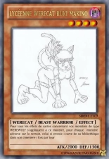 deck werebeast,vamp, suc, cow girls,lamia,cent , idols etc9 yugioh page 269