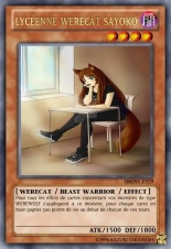 deck werebeast,vamp, suc, cow girls,lamia,cent , idols etc9 yugioh page 270