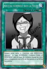 deck werebeast,vamp, suc, cow girls,lamia,cent , idols etc9 yugioh page 294