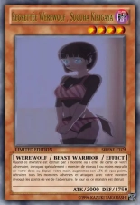 deck werebeast,vamp, suc, cow girls,lamia,cent , idols etc9 yugioh page 345