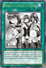 deck werebeast,vamp, suc, cow girls,lamia,cent , idols etc9 yugioh page 351