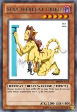 deck werebeast,vamp, suc, cow girls,lamia,cent , idols etc9 yugioh page 363