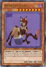 deck werebeast,vamp, suc, cow girls,lamia,cent , idols etc9 yugioh page 487