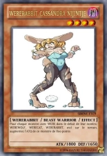 deck werebeast,vamp, suc, cow girls,lamia,cent , idols etc9 yugioh page 508