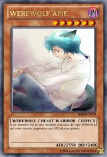deck werebeast,vamp, suc, cow girls,lamia,cent , idols etc9 yugioh page 533