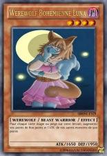 deck werebeast,vamp, suc, cow girls,lamia,cent , idols etc9 yugioh page 542