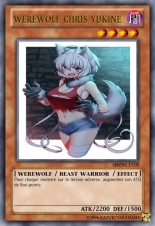 deck werebeast,vamp, suc, cow girls,lamia,cent , idols etc9 yugioh page 549