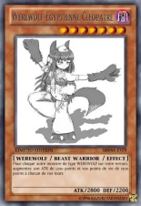 deck werebeast,vamp, suc, cow girls,lamia,cent , idols etc9 yugioh page 554