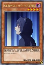 deck werebeast,vamp, suc, cow girls,lamia,cent , idols etc9 yugioh page 615