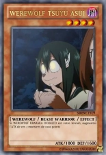 deck werebeast,vamp, suc, cow girls,lamia,cent , idols etc9 yugioh page 630