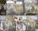 Don't Spay And Neuter Your Pets : page 3