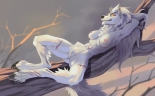 drmax Patreon Archive : page 382