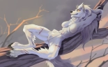 drmax Patreon Archive : page 383