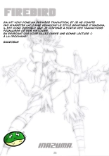 FIREBIRD page 28