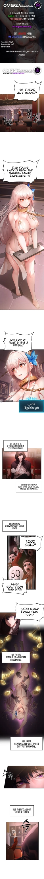 For Sale: Fallen Lady, Never Used : page 2