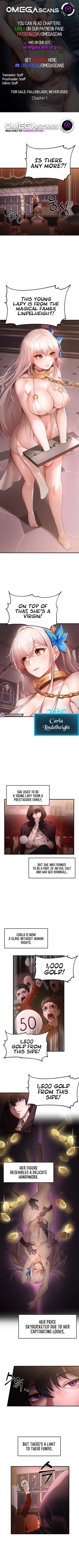 hentai For Sale: Fallen Lady, Never Used