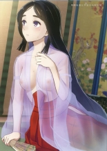 Fukushoku Bunka Illust Hon II : page 4