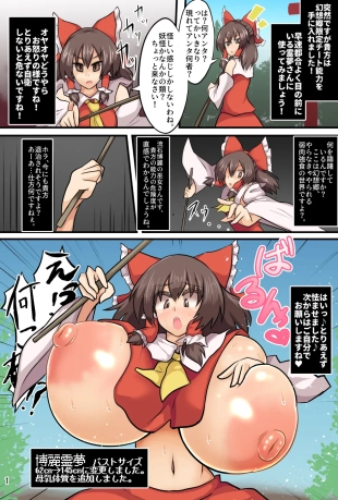 hentai touhou project