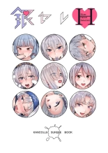 Silver Hair Selection H : page 2
