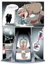 Gun & Bullet : page 11
