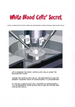 White Blood Cell Secret : page 3