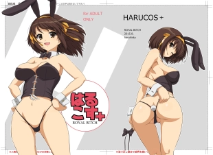 hentai the melancholy of haruhi suzumiya