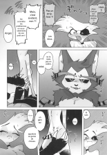 Initiative : page 11