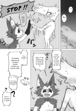 Initiative : page 12
