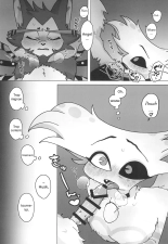Initiative : page 15