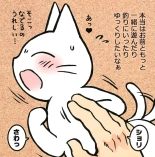 Kainushi no Tech ga Sugosugite Shikaru koto ga dekinai Ecchi-na Neko-san : page 5
