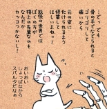 Kainushi no Tech ga Sugosugite Shikaru koto ga dekinai Ecchi-na Neko-san : page 17