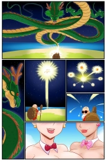 Kogeikun - The wish of Master Roshi- Dragon Ball Z : page 1