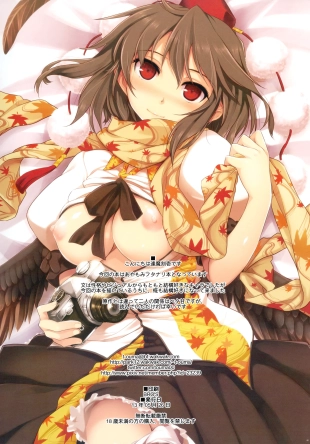 hentai touhou project