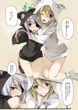 hentai infinite stratos