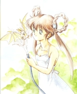 Mamono Hunter Yohko Anime V Special : page 39