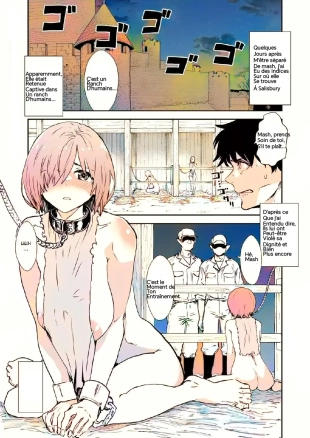 hentai fate grand order