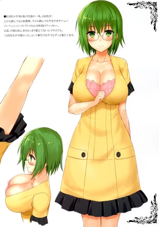 hentai infinite stratos